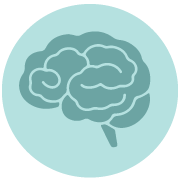 A human brain icon